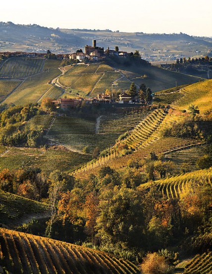 I vigneti e le colline delle Langhe